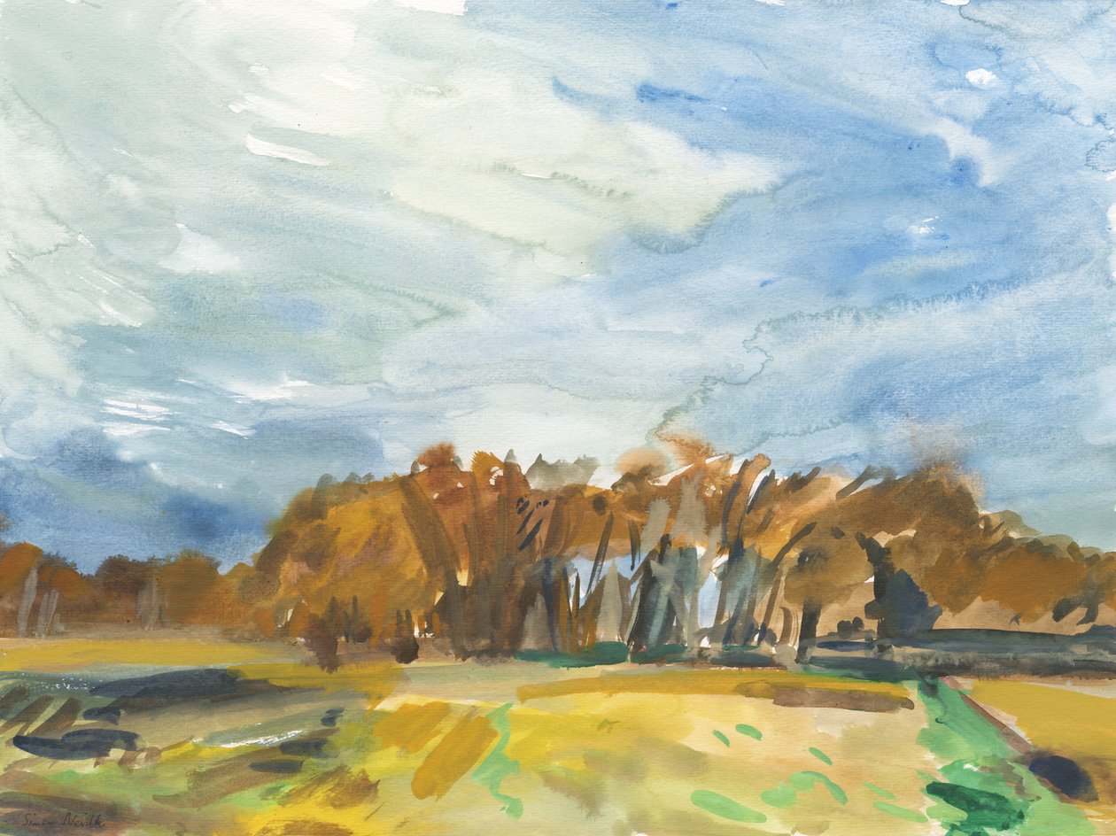 Richmond Park, 2018 (aguarela sobre papel) de Simon Neville