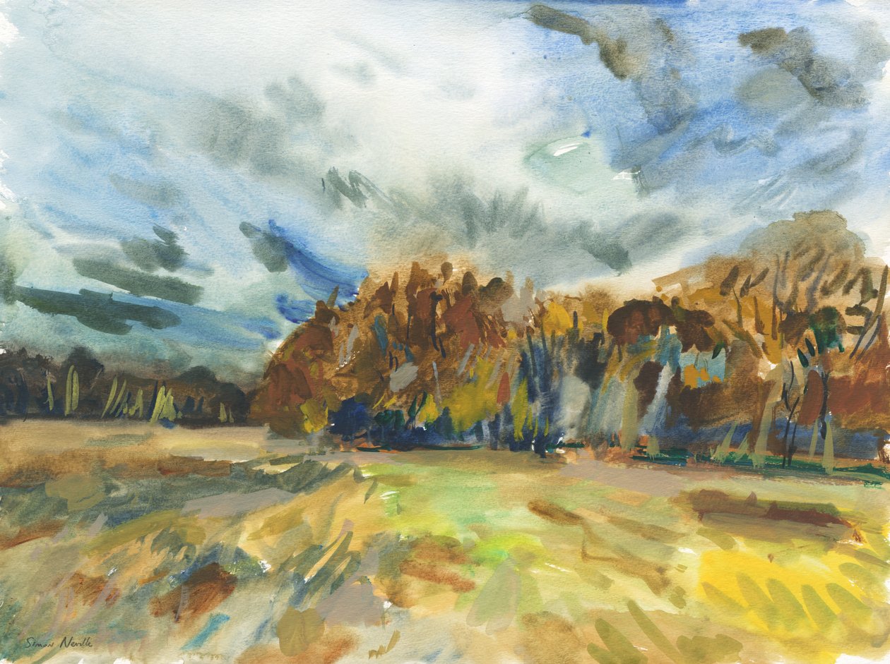Richmond Park, 2018 (aguarela sobre papel) de Simon Neville