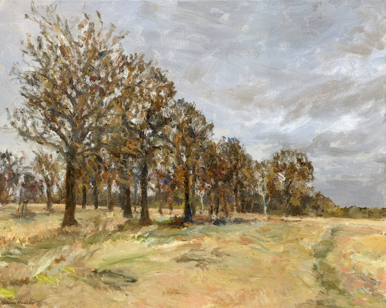 Bosque, Richmond Park n.º 6, 2022 (óleo sobre tela) de Simon Neville