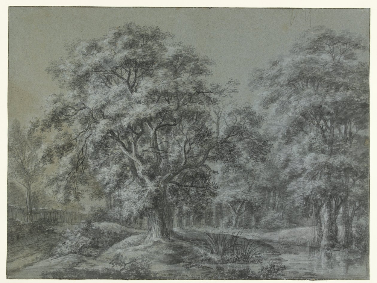 Paisagem florestal com água de Simon de Vlieger