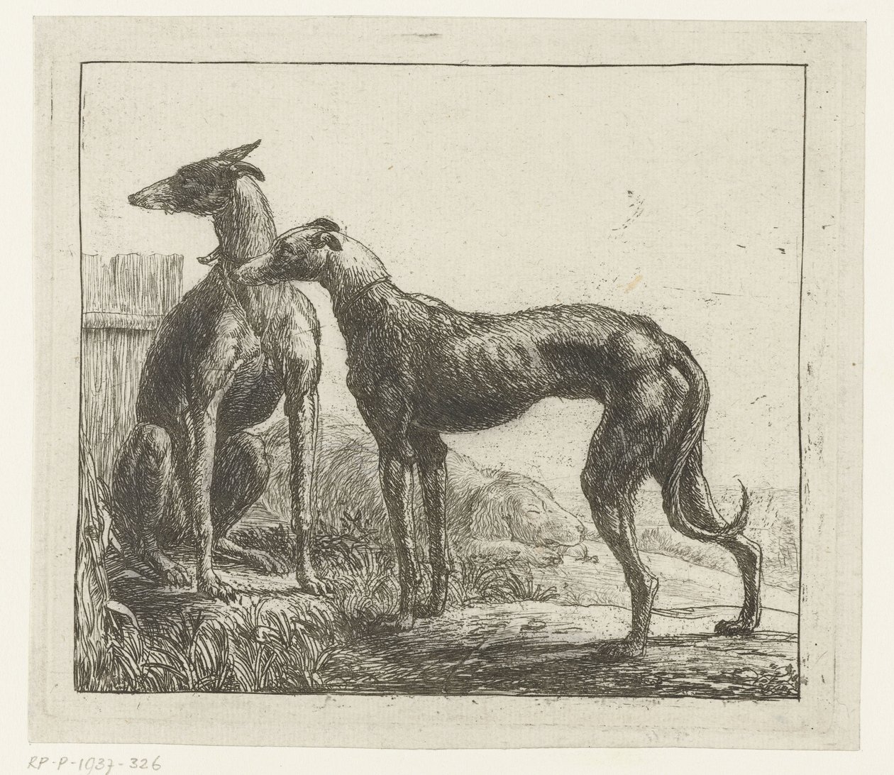 Dois galgos Animais diferentes (título da série) Kite Bugs (título da série) de Simon de Vlieger