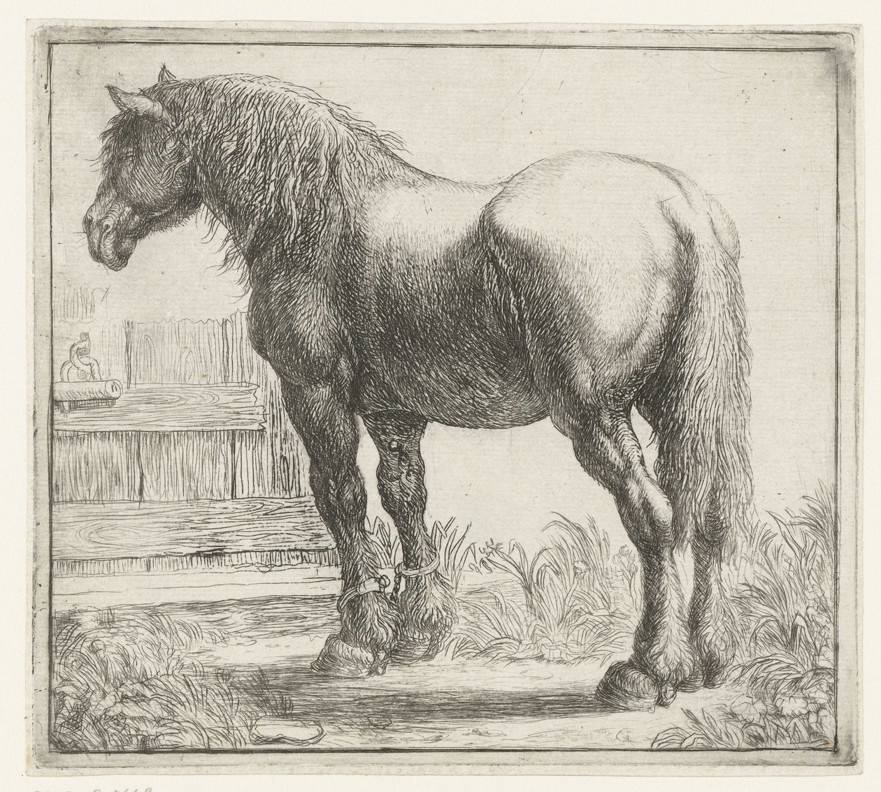 Cavalo de carga em uma cerca Animais diferentes (título da série) Kite Bugs (título da série) de Simon de Vlieger