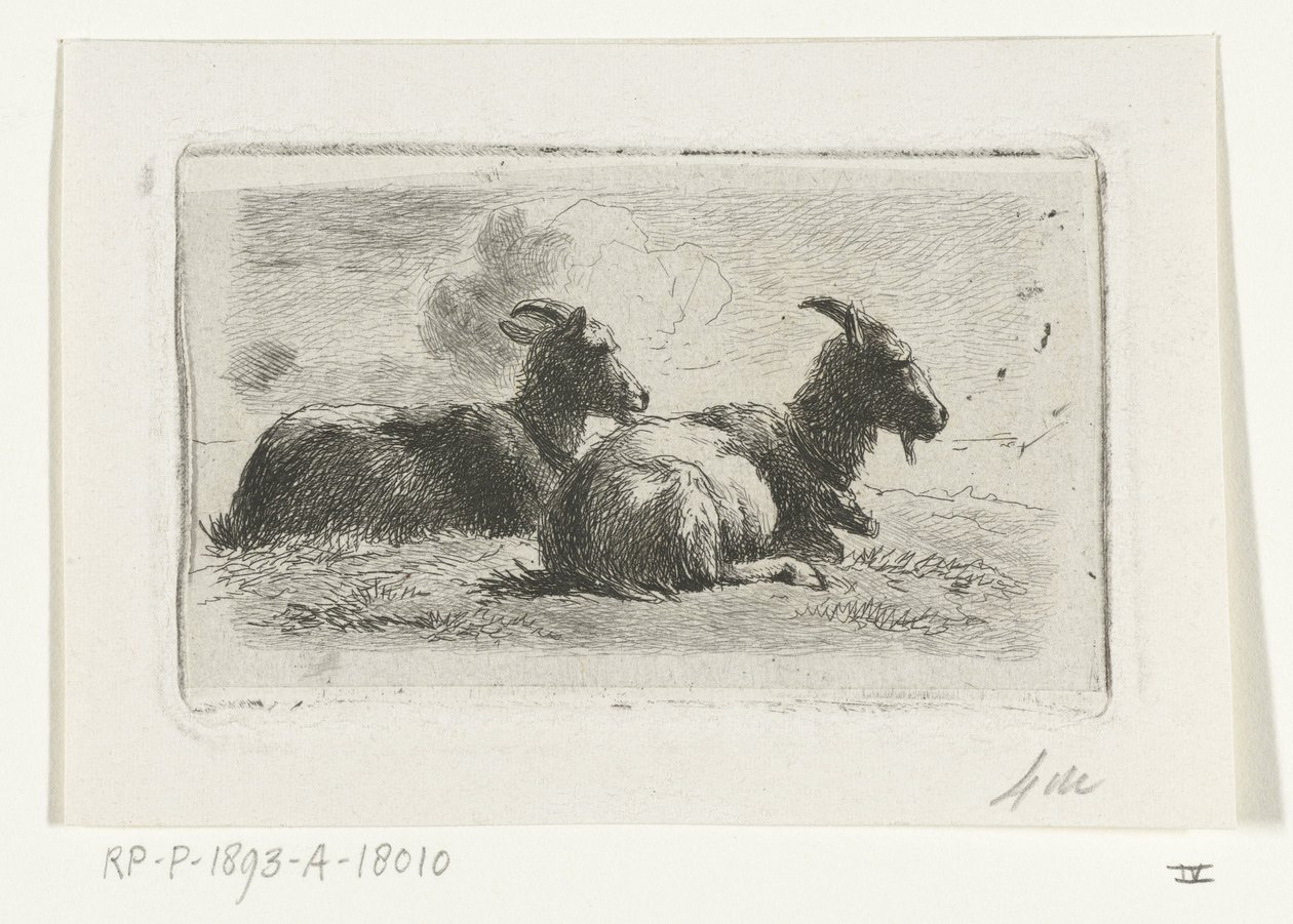 Duas cabras reclináveis de Simon van den Berg