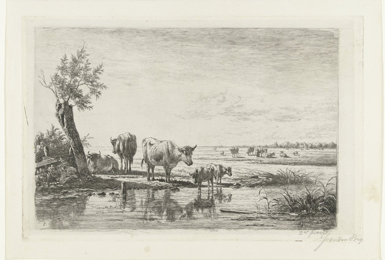 Paisagem de pastagem com vacas perto da água de Simon van den Berg