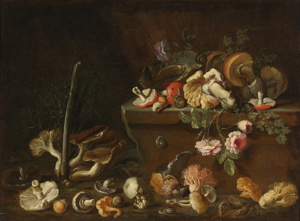 Ainda vida com cogumelos e flores de Simone del Tintore