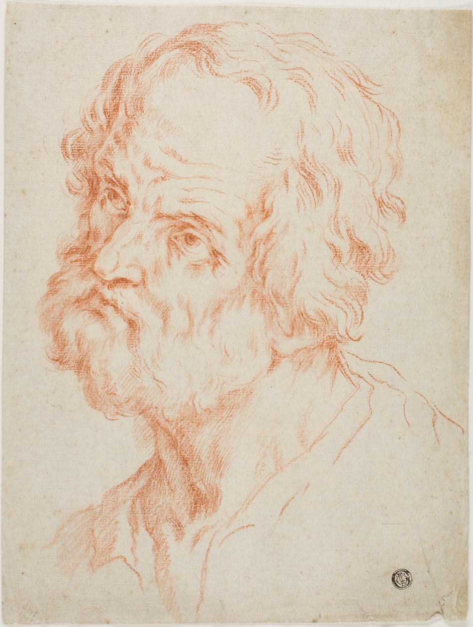 Cabeça Masculina de Simone Cantarini