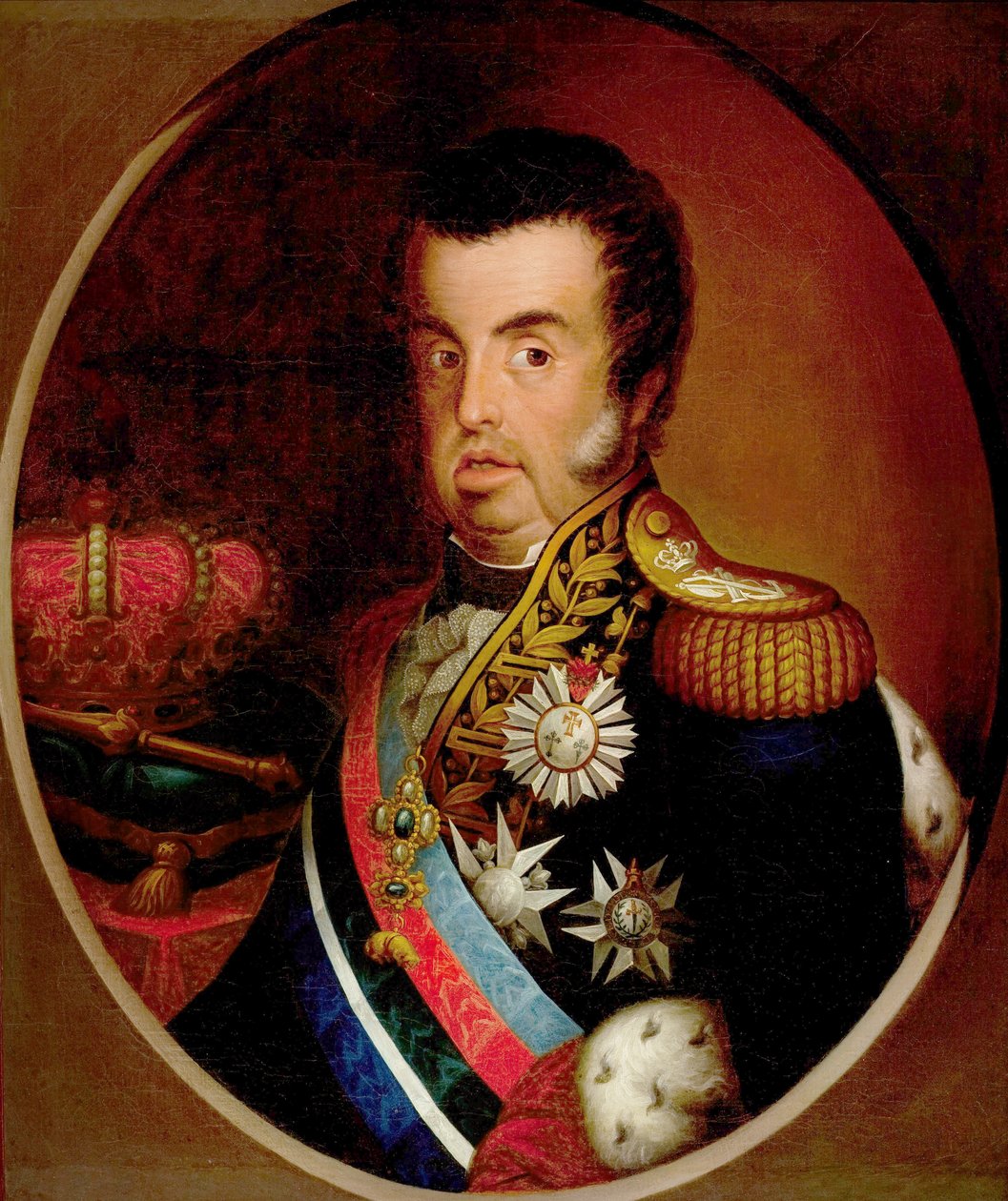 Portrait of Dom João VI (1767-1826) de Simplicio Rodrigues de Sa