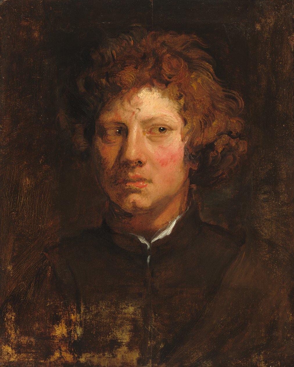 Cabeça de um jovem de Sir Anthony van Dyck
