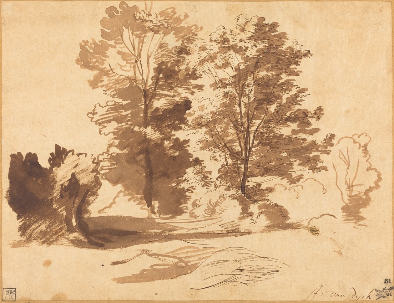 A borda de uma madeira de Sir Anthony van Dyck