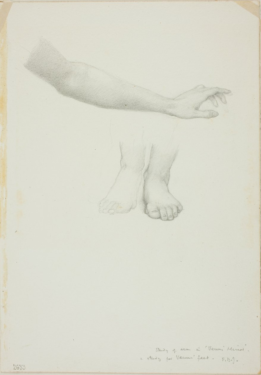 Braço e Pés, estudo para Espelho de Vênus de Sir Edward Burne Jones