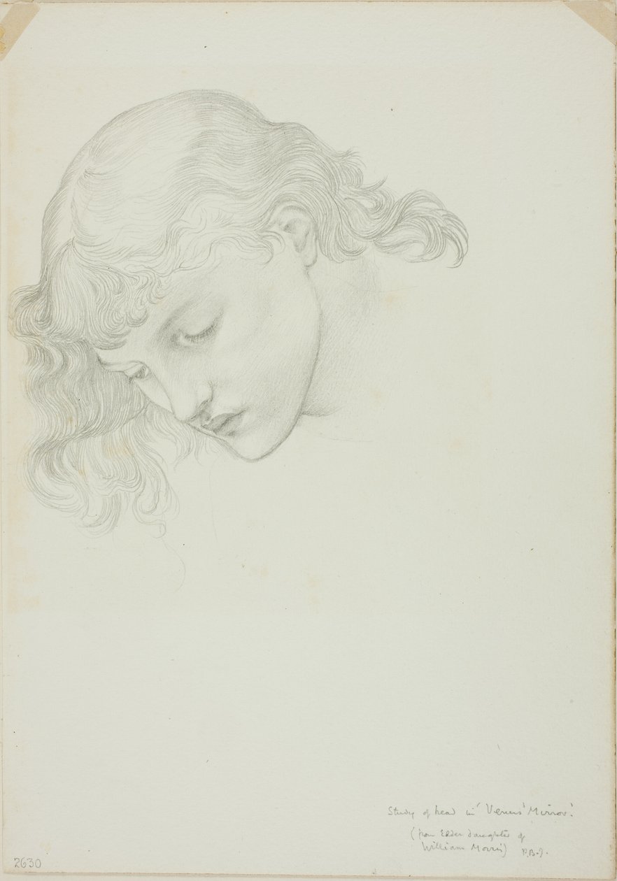 Cabeça, Estudo para Espelho de Vênus de Sir Edward Burne Jones