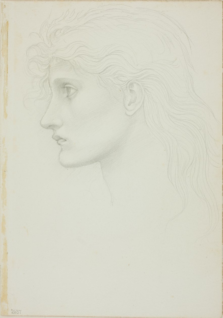 Cabeça de garota voltada para a esquerda de Sir Edward Burne Jones