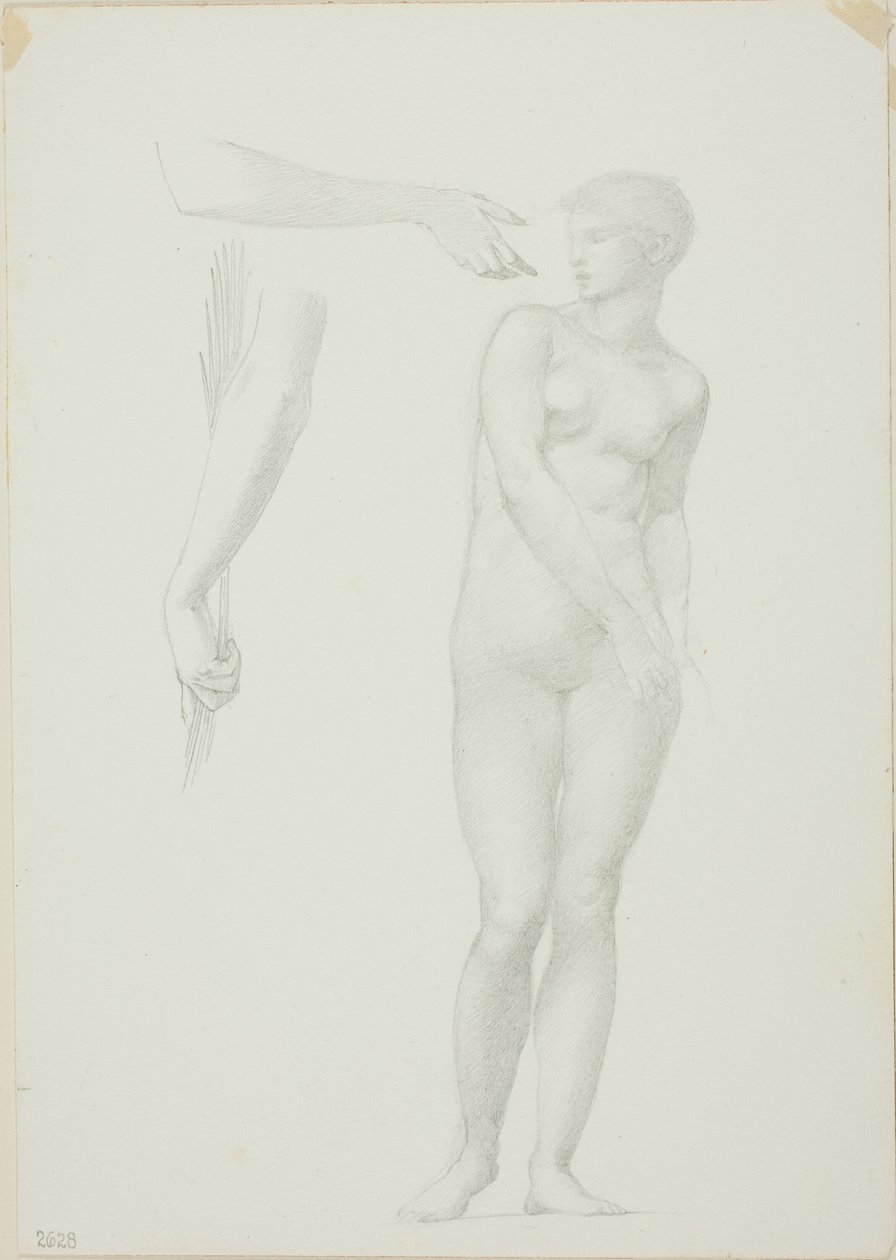 Nu feminino em pé e esboços de braços de Sir Edward Burne Jones