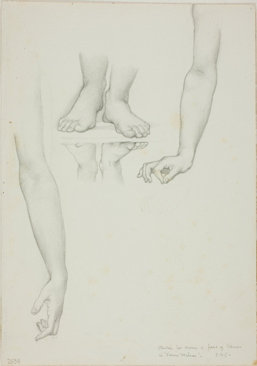 Estudo para Espelho de Vênus: Braços e Pés de Vênus de Sir Edward Burne Jones