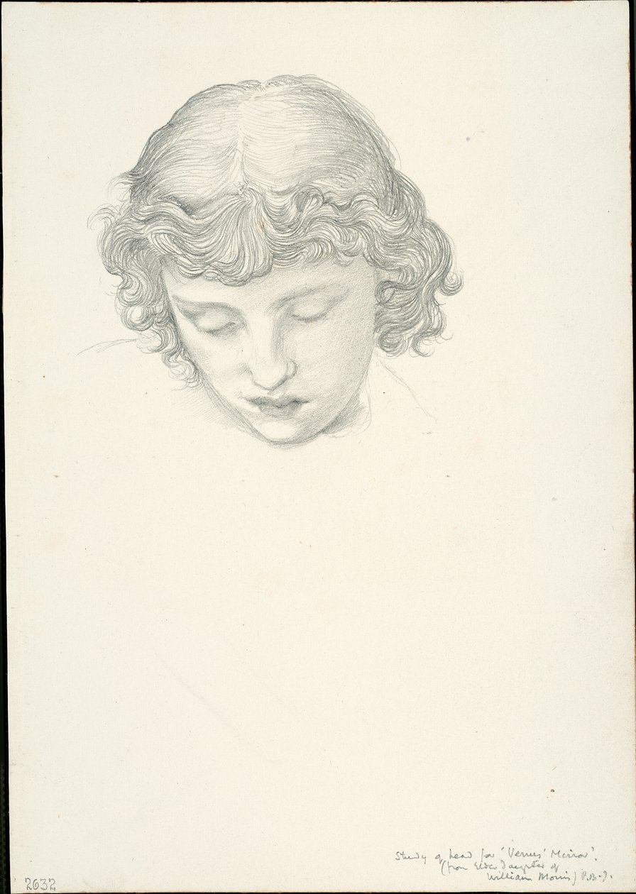 Estudo para o Espelho de Vénus: Cabeça de Sir Edward Burne Jones