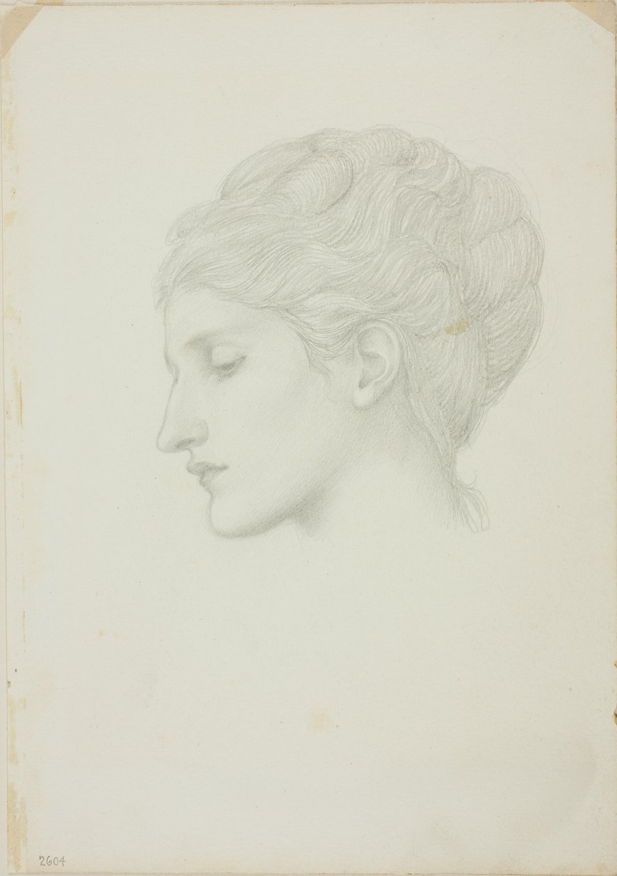 Cabeça de mulher de perfil para a esquerda de Sir Edward Burne Jones