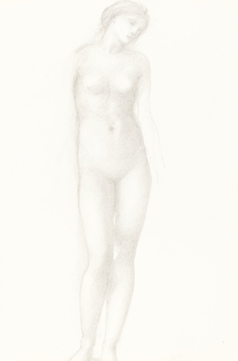 Vênus de Sir Edward Coley Burne Jones