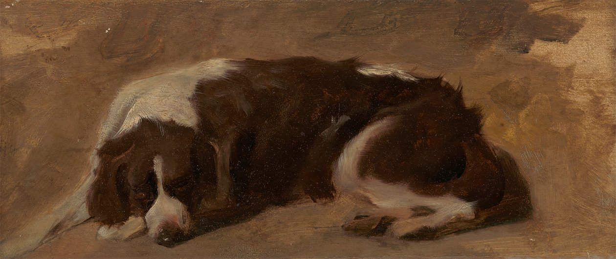 Um Spaniel deitado de Sir Edwin Henry Landseer