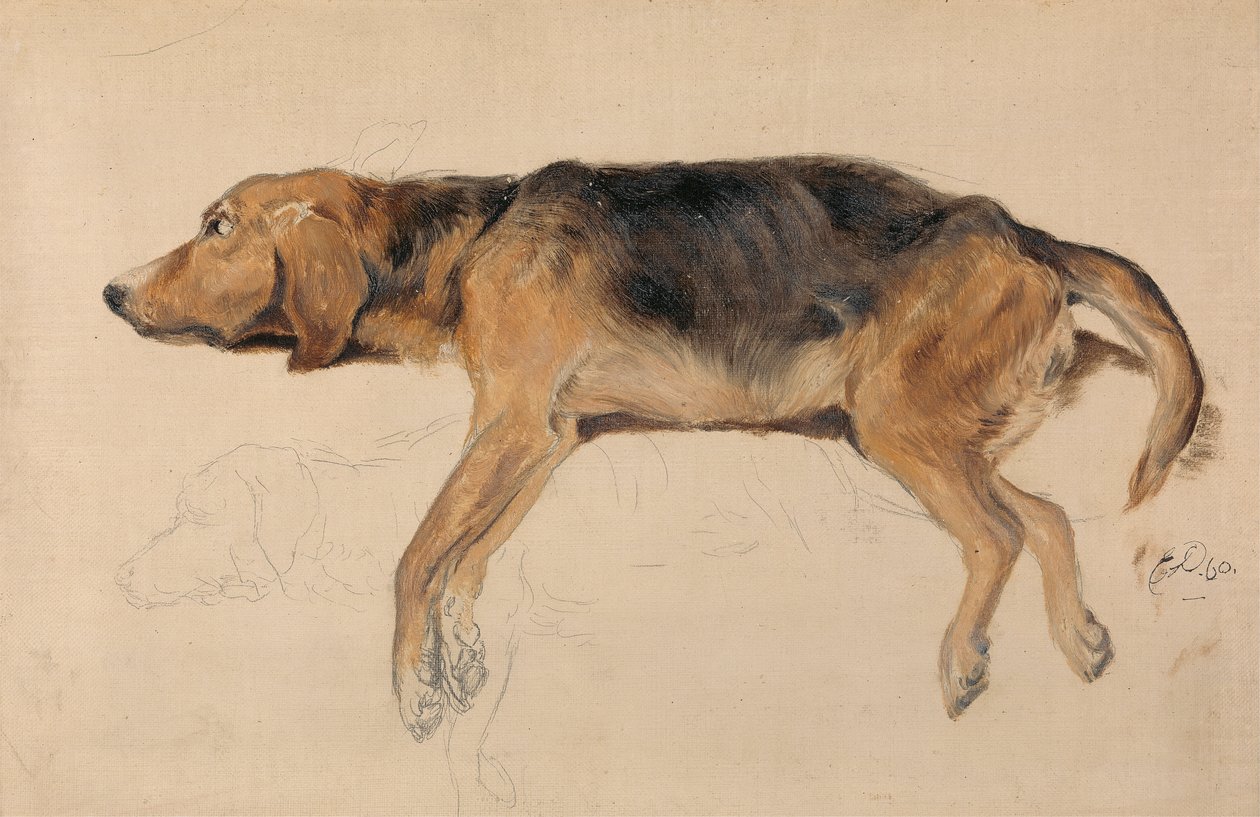 Estudo de um cão deitado de Sir Edwin Henry Landseer