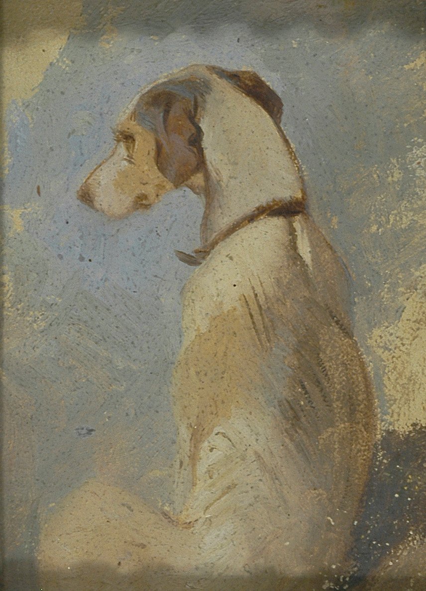Estudo de um Greyhound de Sir Edwin Henry Landseer
