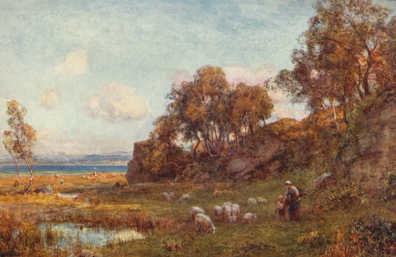 Pastos protegidos, c1900 de Sir Ernest Albert Waterlow