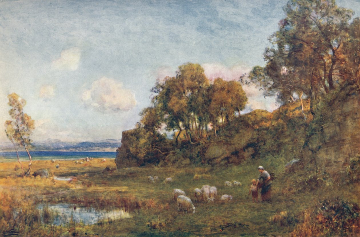 Pastos protegidos, c1900. de Sir Ernest Albert Waterlow