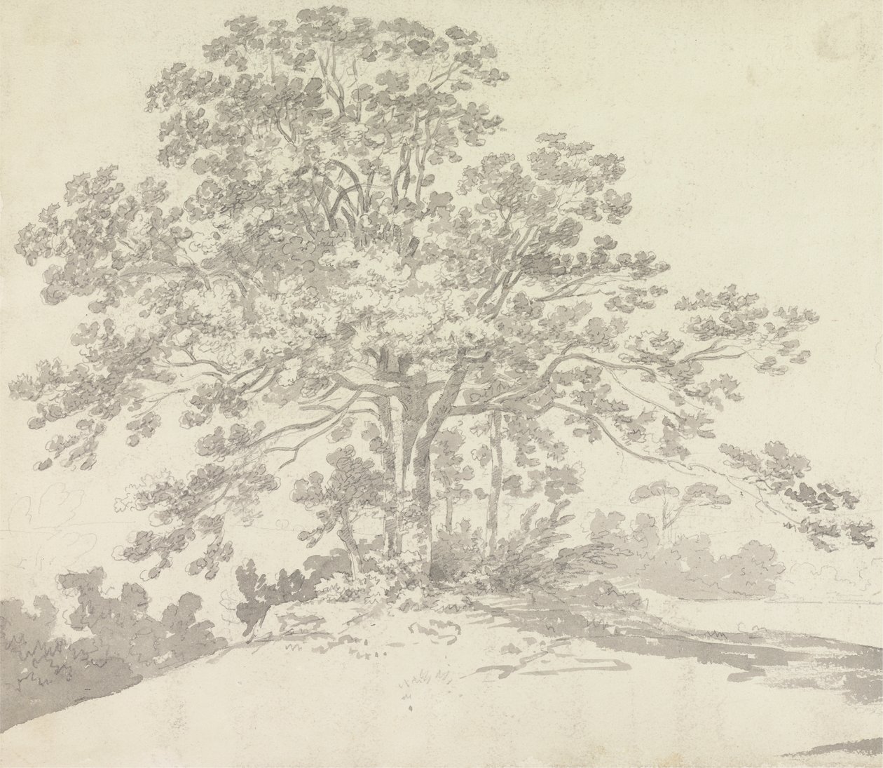 Árvore de Sir George Howland Beaumont seventh Baronet