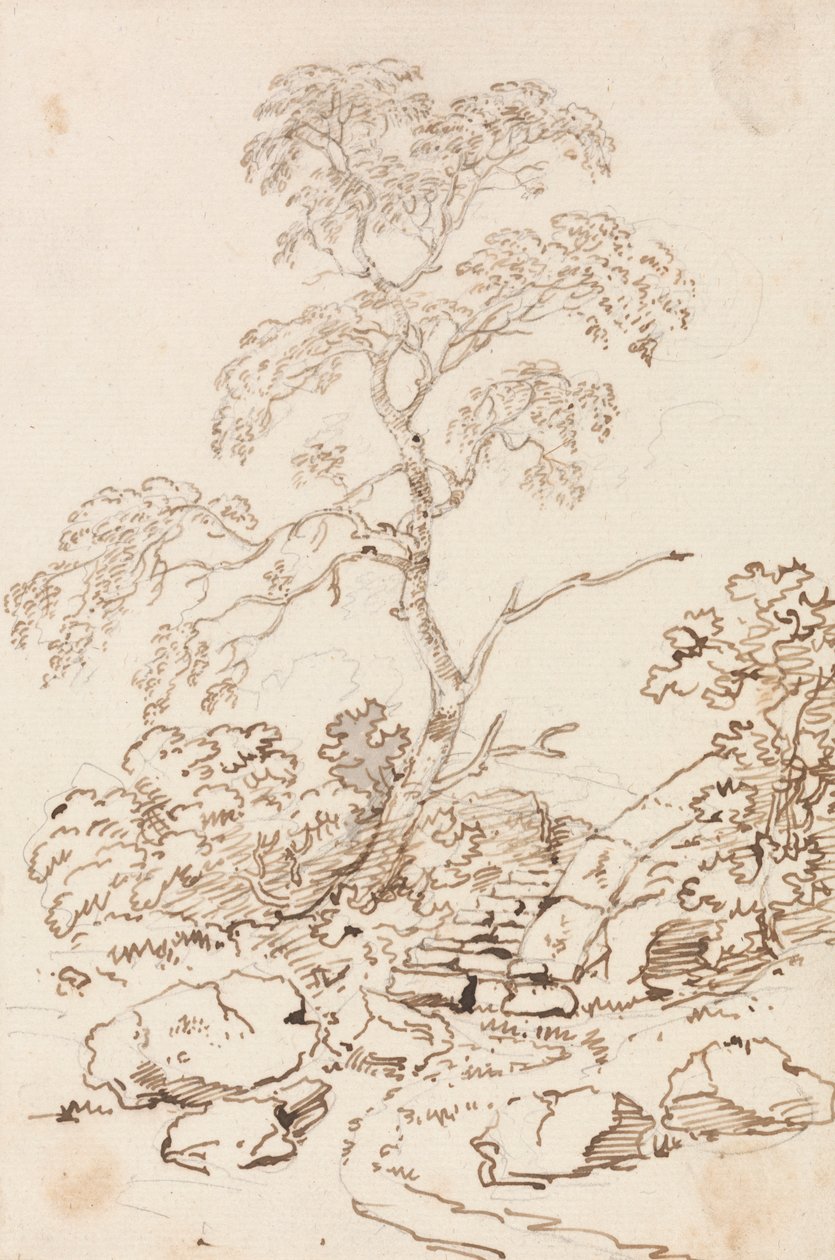 Árvore por etapas de Sir George Howland Beaumont seventh Baronet