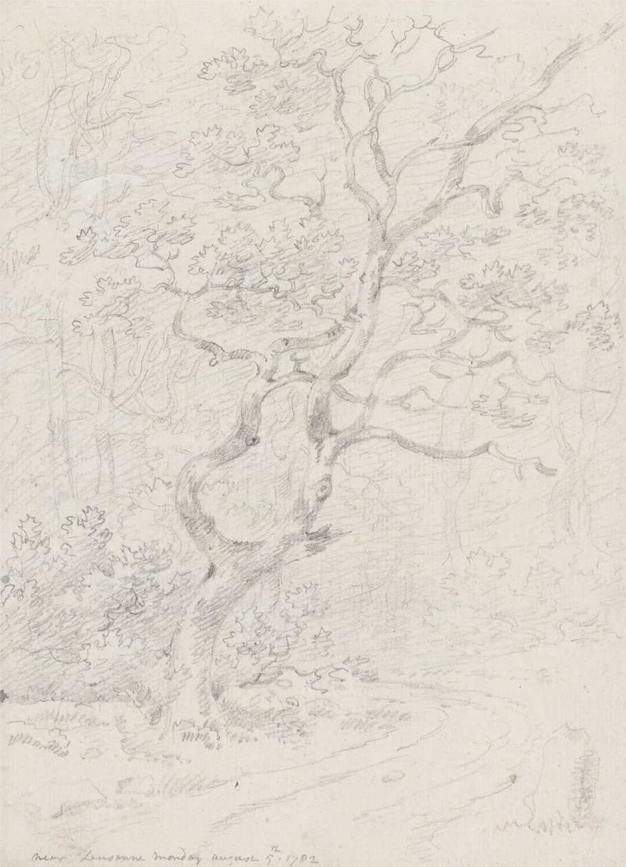 Árvores, perto de Lausanne de Sir George Howland Beaumont seventh Baronet