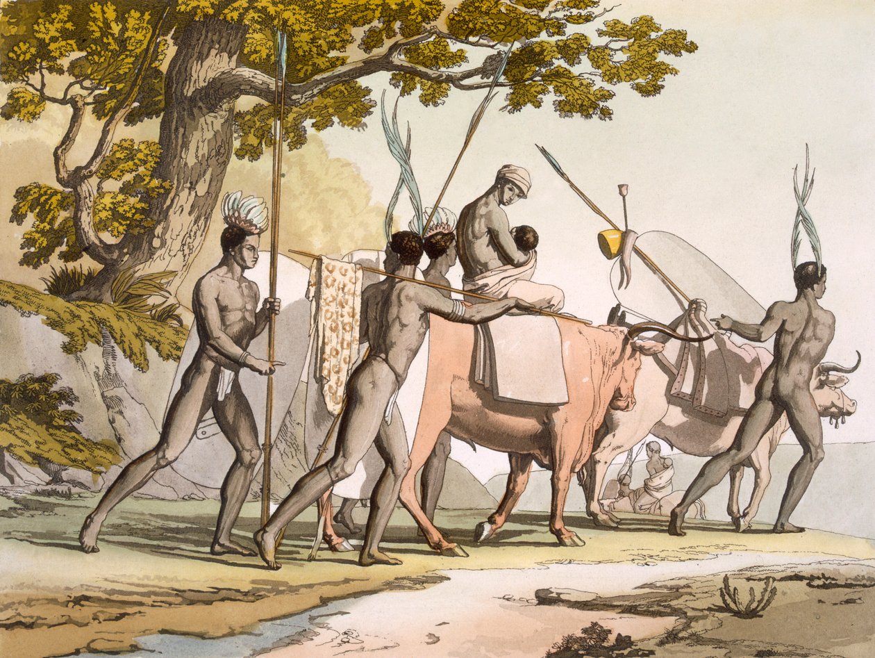 Korah Hotentotes do Cabo em movimento, Vol II, c1820-40. de Sir John Barrow