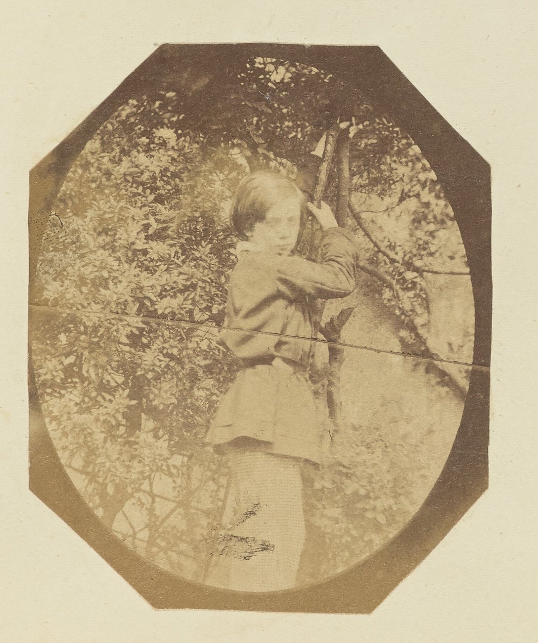 [Retrato de um jovem rapaz]. de Sir John Joscelyn Coghill