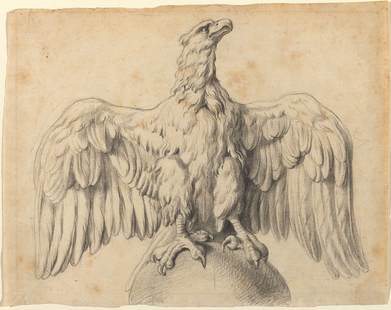 A Águia Capitolina de Sir Peter Paul Rubens