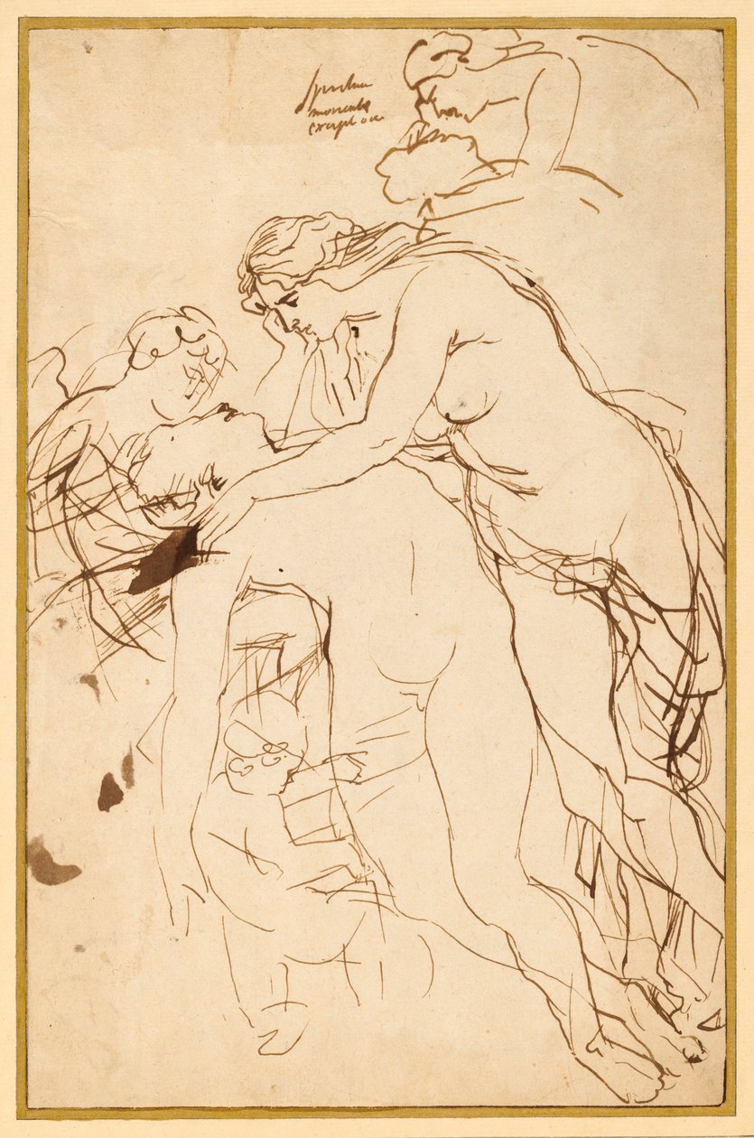 Vênus Lamentando Adonis de Sir Peter Paul Rubens