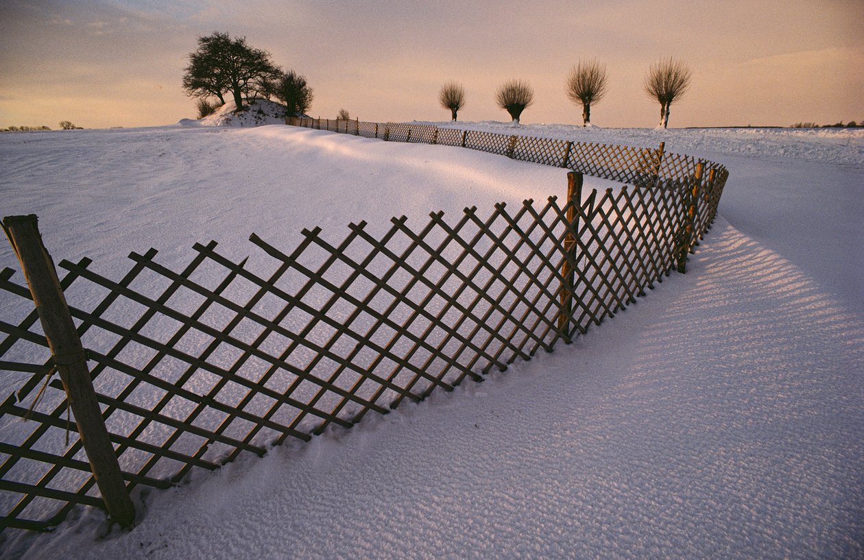 Um túmulo viking na neve perto de Elverhoej, Dinamarca, na neve do inverno de 2022 (foto) de Sisse Brimberg