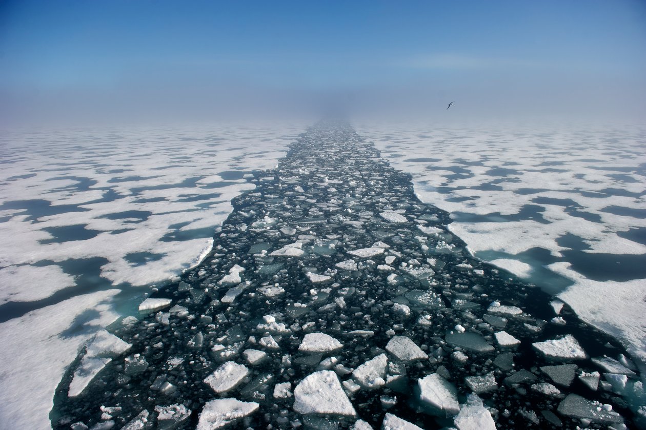 Paisagem árctica no Estreito de Hinlopen, Noruega, 2022 (foto) de Sisse Brimberg