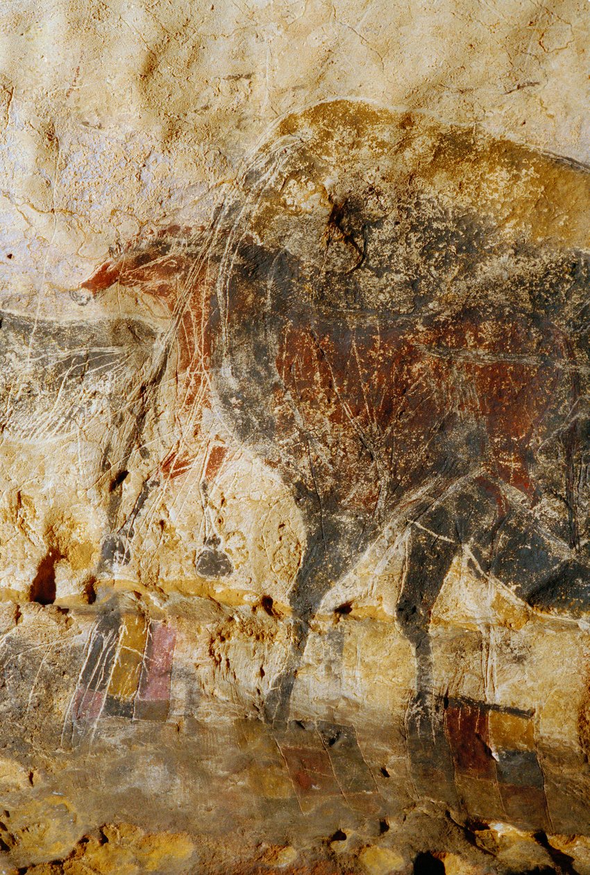 Pormenor da pintura gravada de cabeças de cavalo, Lascaux. de Sisse Brimberg