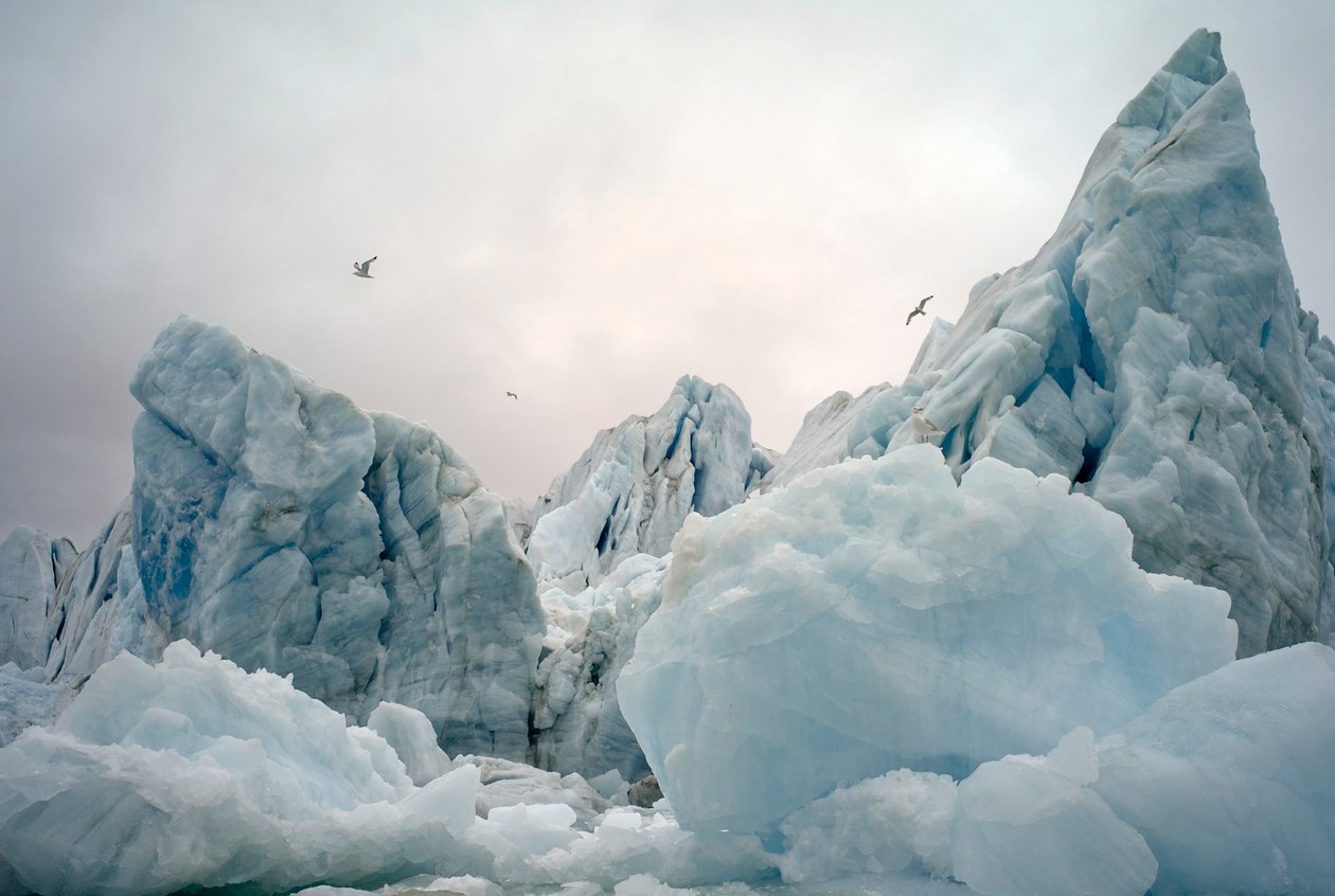 Icebergues no mar Ártico em redor da ilha de Spitsbergen, Noruega, 2022 (foto) de Sisse Brimberg