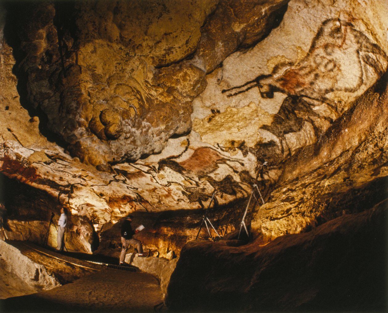 O Unicórnio Mítico de Lascaux e outras pinturas de Lascaux realizadas há mais de 17.000 anos. de Sisse Brimberg