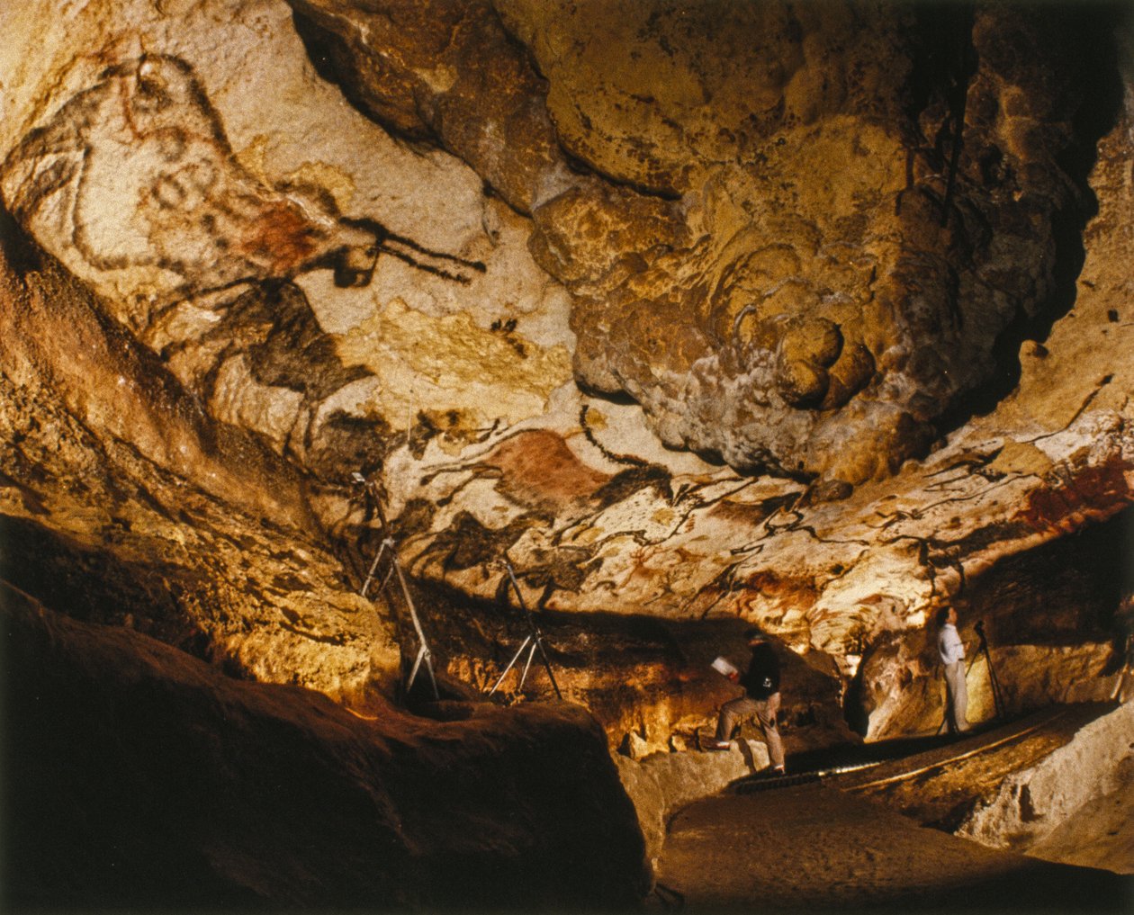 O Unicórnio Mítico de Lascaux e outras pinturas de Lascaux realizadas há mais de 17.000 anos. de Sisse Brimberg