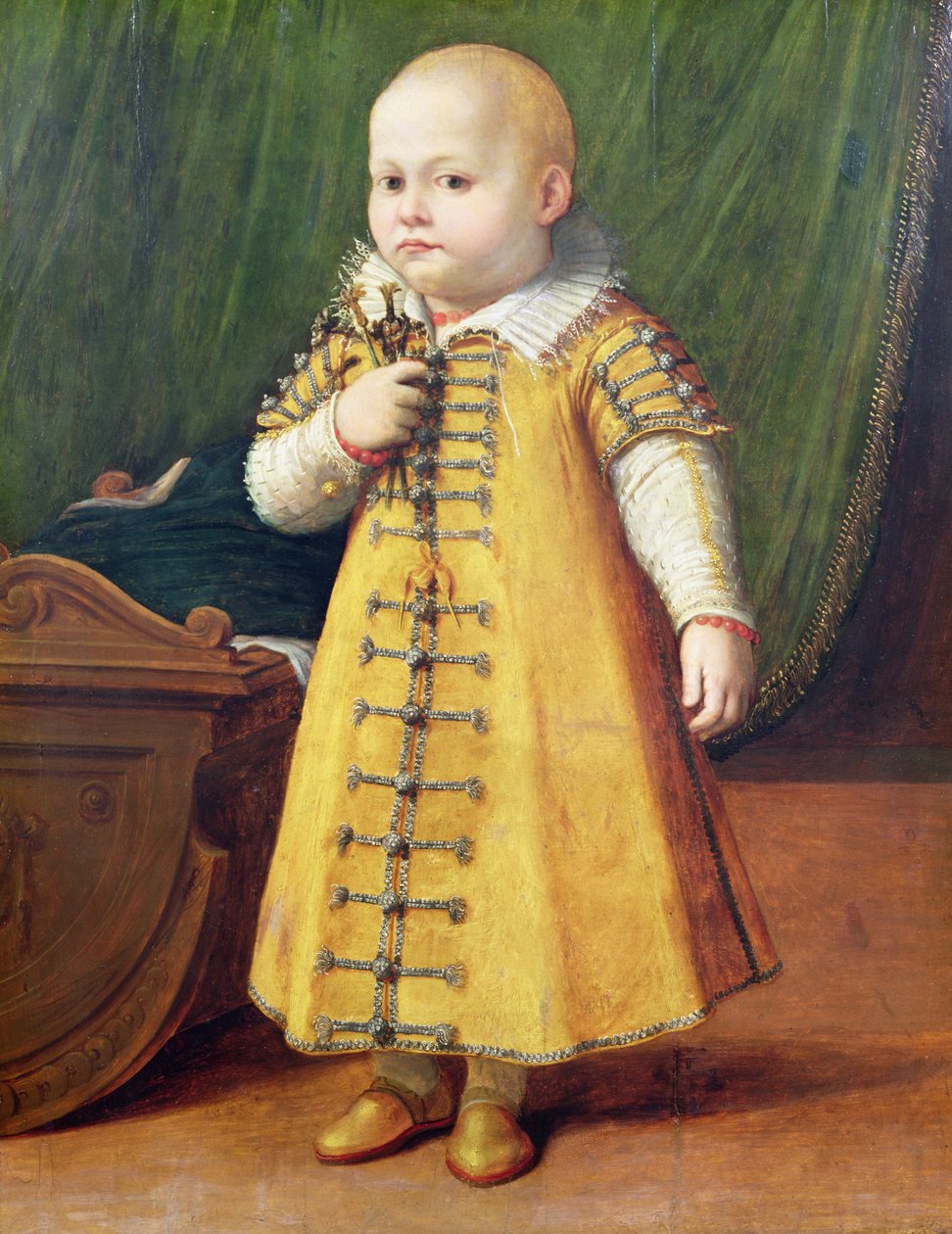 Retrato de uma criança (painel) de Sofonisba Anguissola