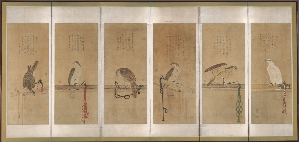 Hawks amarrados, antes de 1606. de Soga Chokuan