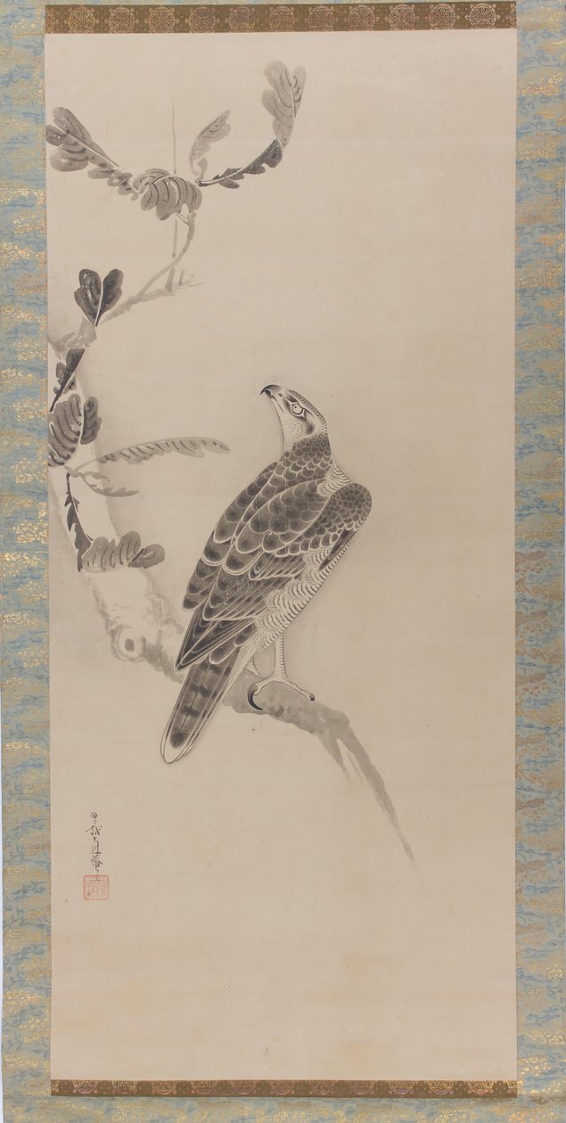 Hawks Taka zu, meados do século XVII. de Soga Nichokuan