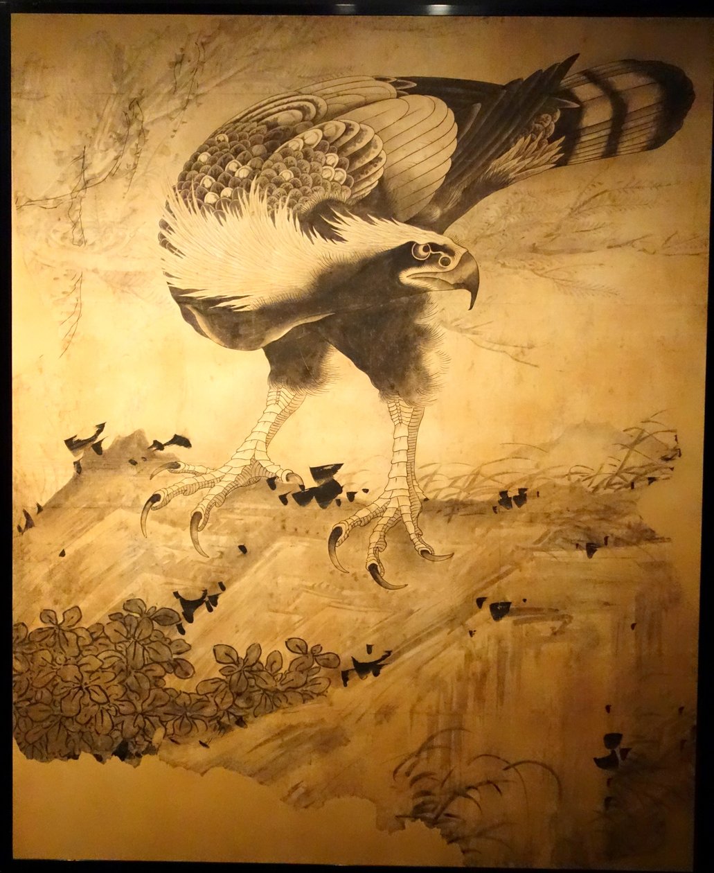 Falcão de Soga Shohaku