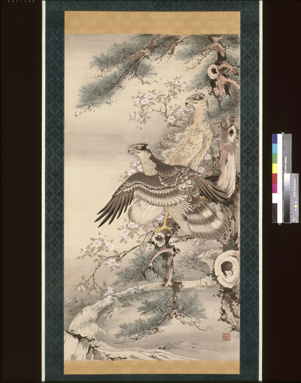 Par de Falcões com Ramos e Flores (tinta, cor e ouro sobre seda) de Soga Shohaku