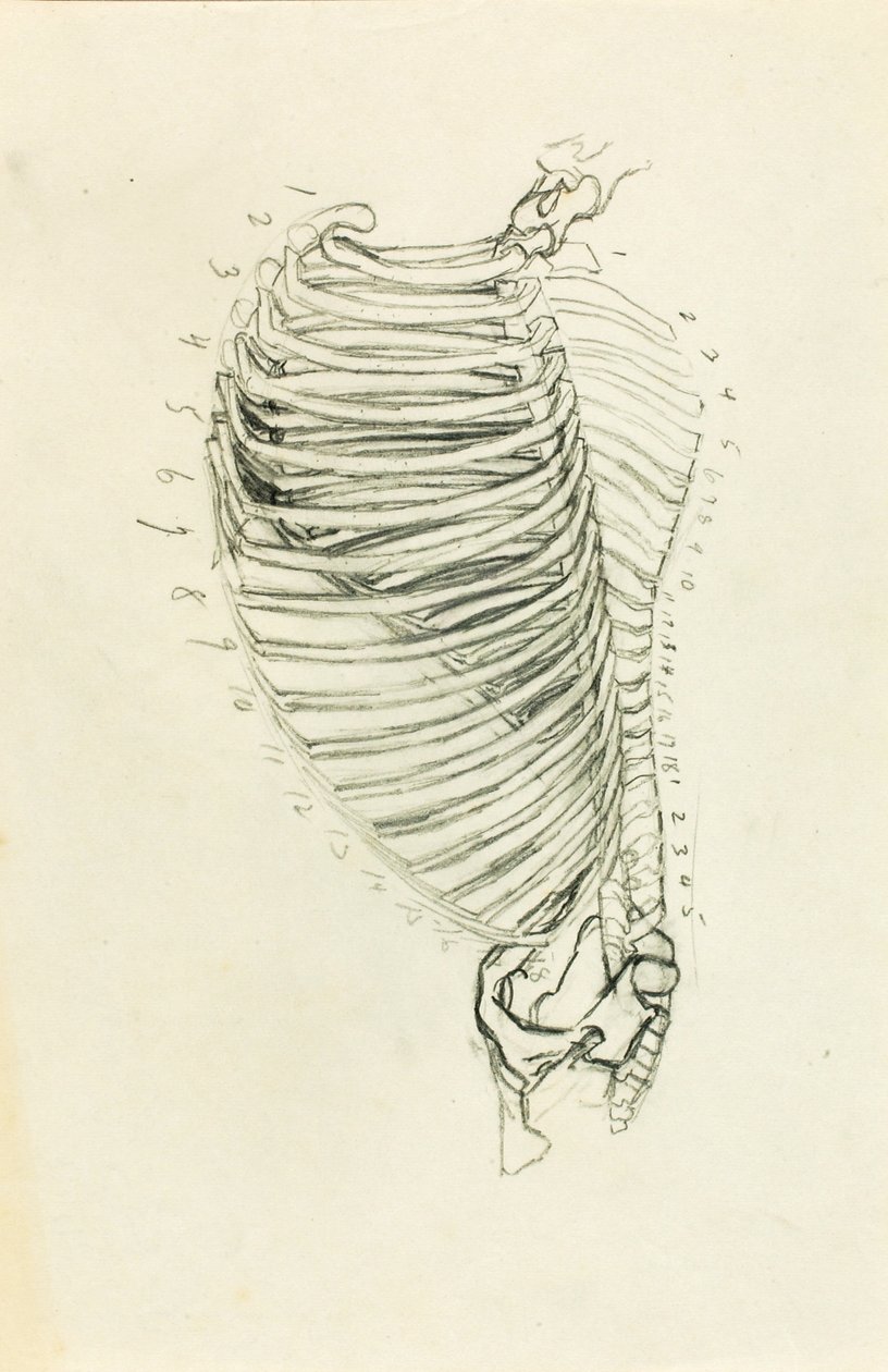 Anatomia de Solon H. Borglum