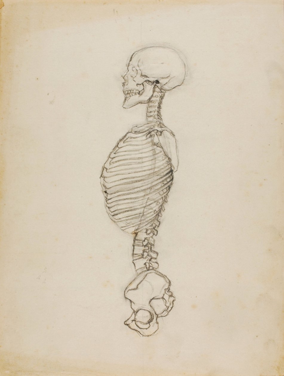 Anatomia de Solon H. Borglum