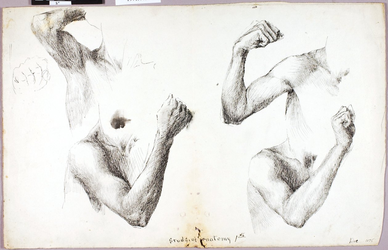 Estudos de quatro braços, #1 de Solon H. Borglum