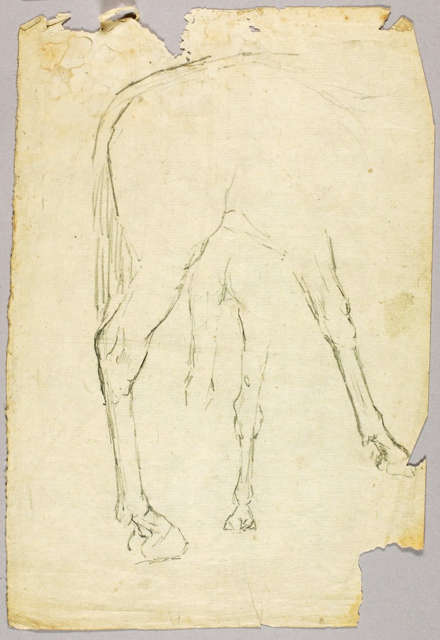Cavalo de Solon H. Borglum