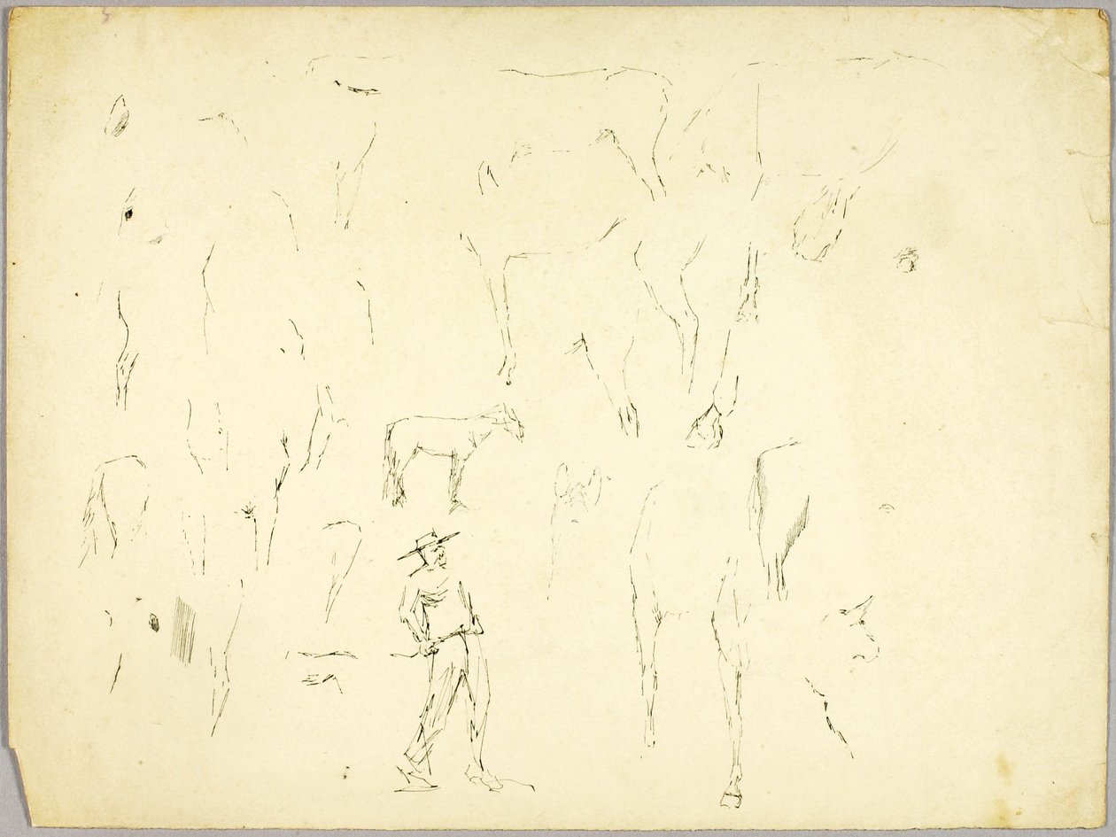 Estudo do cavalo de Solon H. Borglum
