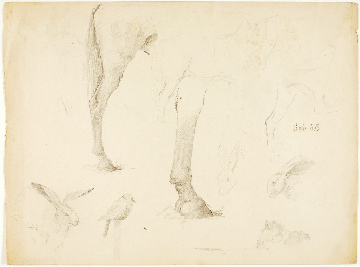 Estudo de cavalos e coelhos de Solon H. Borglum
